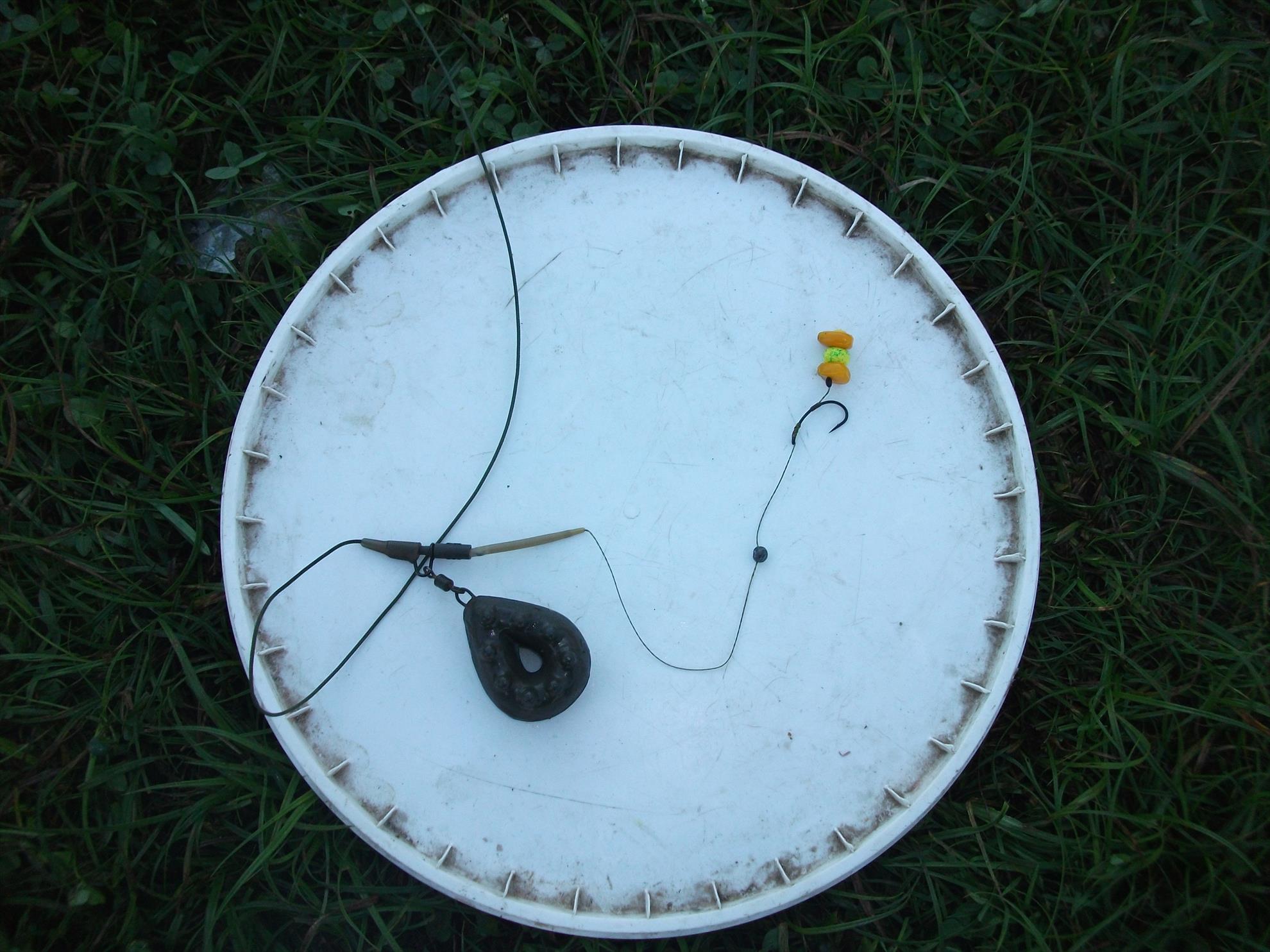 Cernica - dscf1465.jpg